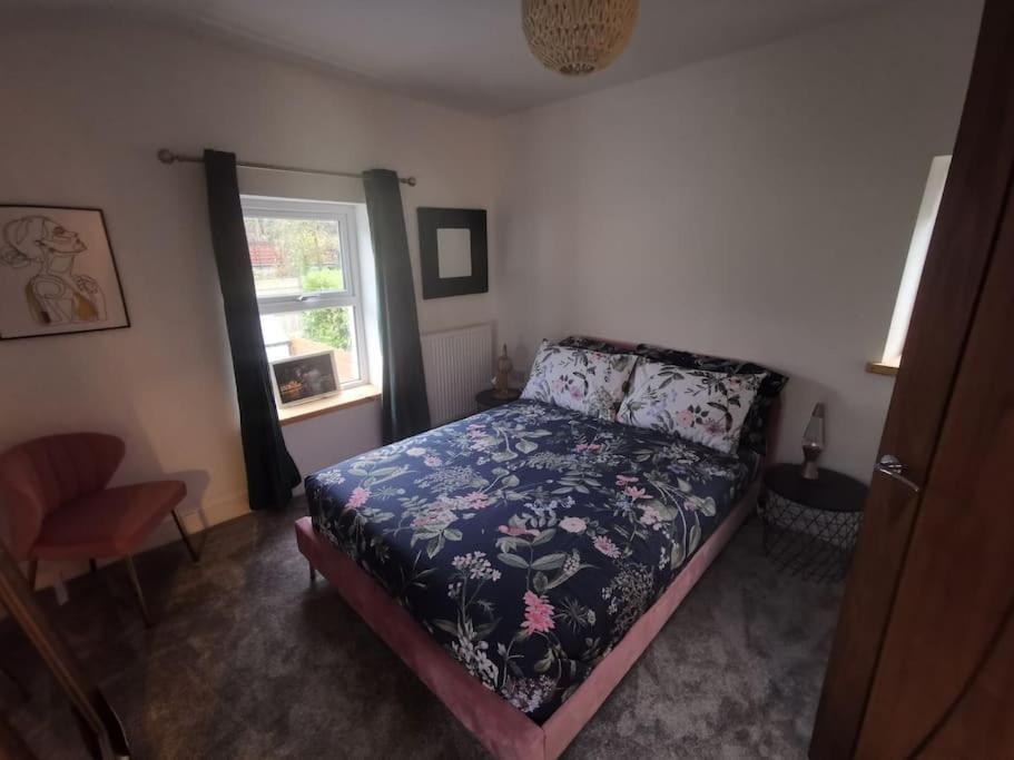 הוילה לאנבריס Prime Location For Snowdon, Family And Dog Friendly! מראה חיצוני תמונה